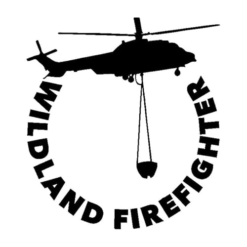 JIFENLI Pegatinas para Coches 15,6 cm * 16,9 cm BOMBERO FORESTAL Progreso Constante Avión Delicado Vinilo Pegatina Coche Calcomanía Gráfico Especial