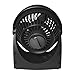 Vornado 133 Small Room Air Circulator Fan, 2 Speeds, Adjustable Head, Table Fan for Desk, Nightstand, Black