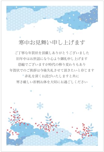 年賀状じまいハガキ 寒中見舞い【10枚】切手付き官製葉書 アルファプリントサービス公式〈NJ101 なんてん〉