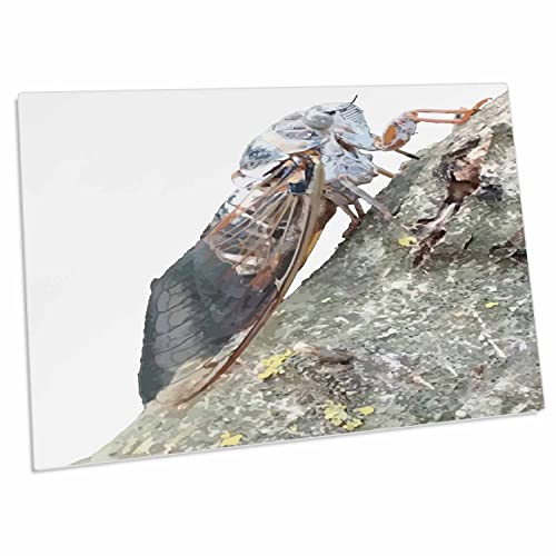 3dRose Taiche - Vector - Cicada Desk Pad Place Mat
