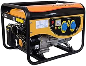 Inverter Generator - 3000w, 3kva, 220v, Simplex, Quiet Mini Household Emergency Generator, Gasoline Natural Gas Liquefied Gas Supply,Constructive23