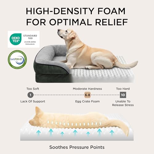 Image of Bedsure L Plus Orthopedic Dog Bed for Large Dogs - Waterproof Dog Cat Bed, L Plus Big Comfort Dogs Couch Sofa with Washable Removable Cover, Pet Bed with Nonskid Bottom, Boreal Canopy Green, 38 inch