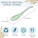 8 Pcs Plastic Spoon Dinner Spoons, Lnrkai Portable Reusable Soup Spoon Reusable Multicolor Lightweight Durable Spoon Dishwasher & Microwave Safe for Gift Set (8PCS)
