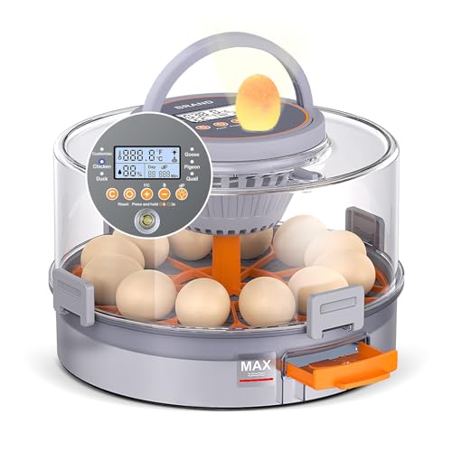 50% Off 12 Egg Incubator with Auto Turning & Humidity Control - Image 2