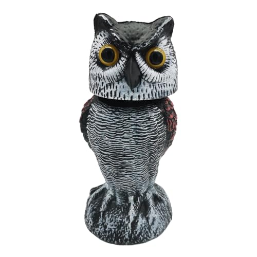 ALCXAZS tNE艮Op]wbht ABS Ɠcɂ̒i, ۂ