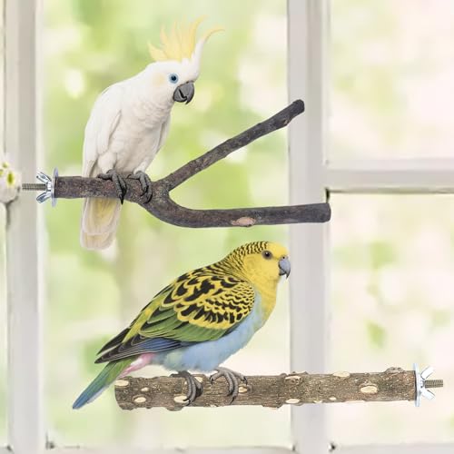 Image of 4PCS Bird Perches Parrot Stand Toys Swing Cage Accessories Paw Grinding Fork Branches Chewing Exercise Stick for Parakeets Cockatiels Conures Budgies Macaws Parrotlets Lovebirds Finches