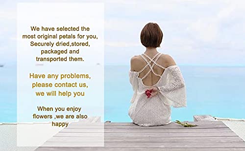 Dried Flowers and Herbs Accessories Decorations Set Dry Flowers Essential Supplies Lemon Grass Scents for Flower Arrangements Crafts Bath Soap Lip Gloss Making .