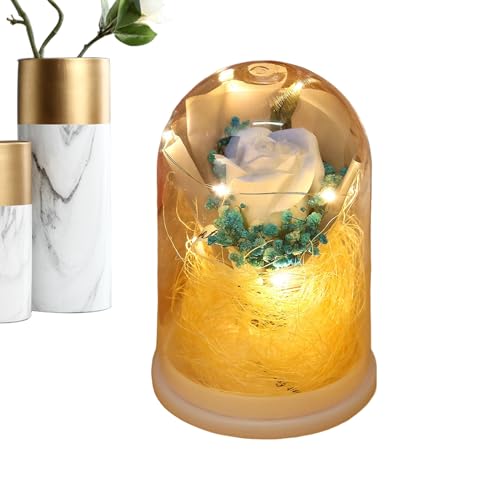 Forever Flower - Ramo de rosas con luz en cúpula de , flor infinita con luz | para mamá, mujer, abuela, hermana, hija, esposa, su San Valentín, novia, cumpleaños