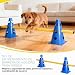 Imagen de INQUIRLLY Juego de Agilidad práctico Juego de obstáculos para Perros Grandes Cavaletti