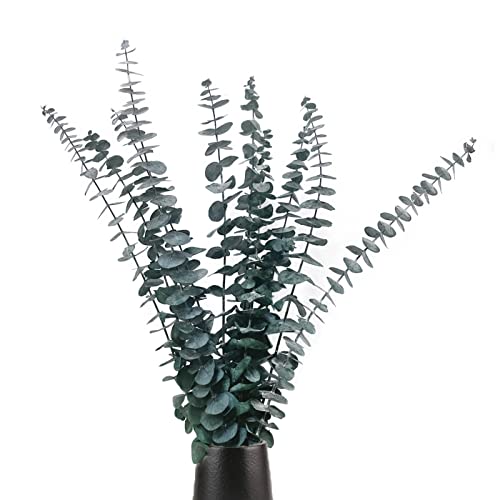 10 Stück Eukalyptus Set,Eukalyptus Getrocknet,Natürliche Trockenblumen Eukalyptus, Eukalyptus echt ewig Haltbare Trockenblumen, Dekoration für die Perfekte Hochzeit,Heim Eucalyptus Decoration(Blau B) Cover