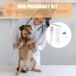 Ipetboom Dog Pregnancy Test Kit at Home, Fast Accurate Detection Pregnant Test Paper Strip for Dog, Cat Veterina Disposable Pet Clinic Equipment – Instructions are on The details page