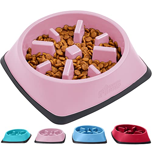 Top 10 Best Slow Bowl For Dogs Reviews & Buying Guide Katynel