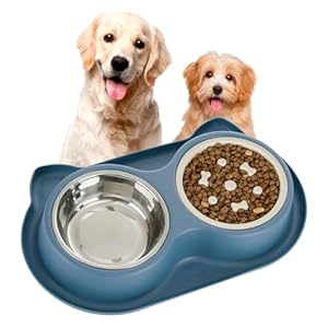 Dog Slow Feeder Dog Water and Food Bowls Stainless Steel Bowls Non Slip Anti Skid Pet Puppys and Kitties Dishes for Small Medium