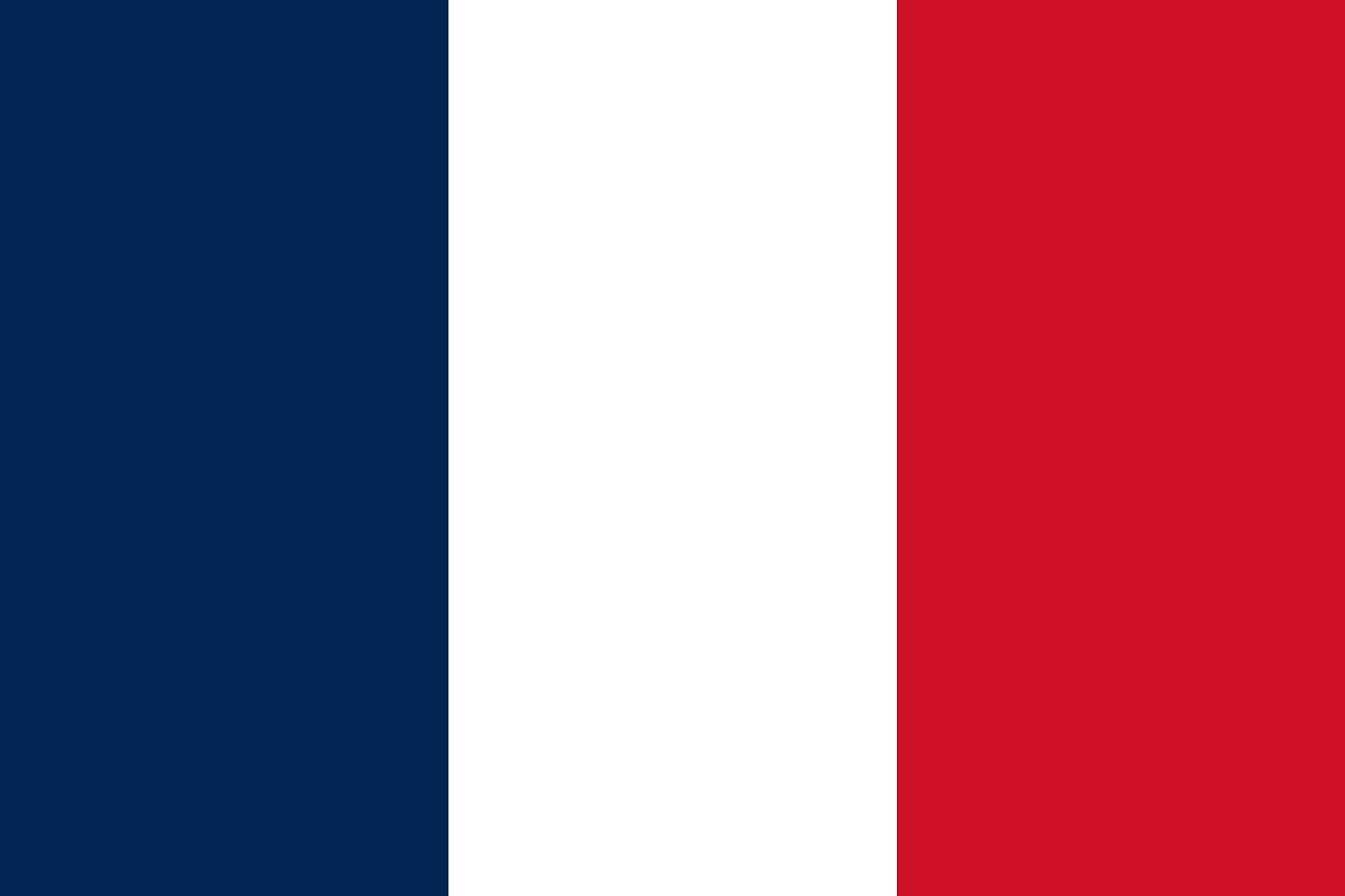 Premium Flag - 90 x 150 cm / 150 cm / 90 cm - Made of Polyester with Golden Eyelets - Durable and Weatherproof (France)