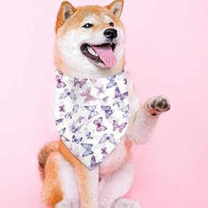 Spring-Dog-Bandanas-Reversible-Dual-Layer-Lavender-and-Butterfly-Design-2-Pack-Purple-Plaid-Square-Dog-Kerchief-Adjustable-Triangle-Holiday-Scarves-for-Dogs-Gifts - Cucciolini Doodles   Spring-Dog-Bandanas-Reversible-Dual-Layer-Lavender-and-Butterfly-Design-2-Pack-Purple-Plaid-Square-Dog-Kerchief-Adjustable-Triangle-Holiday-Scarves-for-Dogs-Gifts