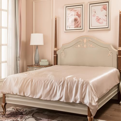 PROMEED 100% Mulberry Silk Duvet Cover Queen Size, Real Grade 6A+ 23 Momme Silk Quilt/Comforter Cover with Zipper and Coner Tie (Champagne, King)