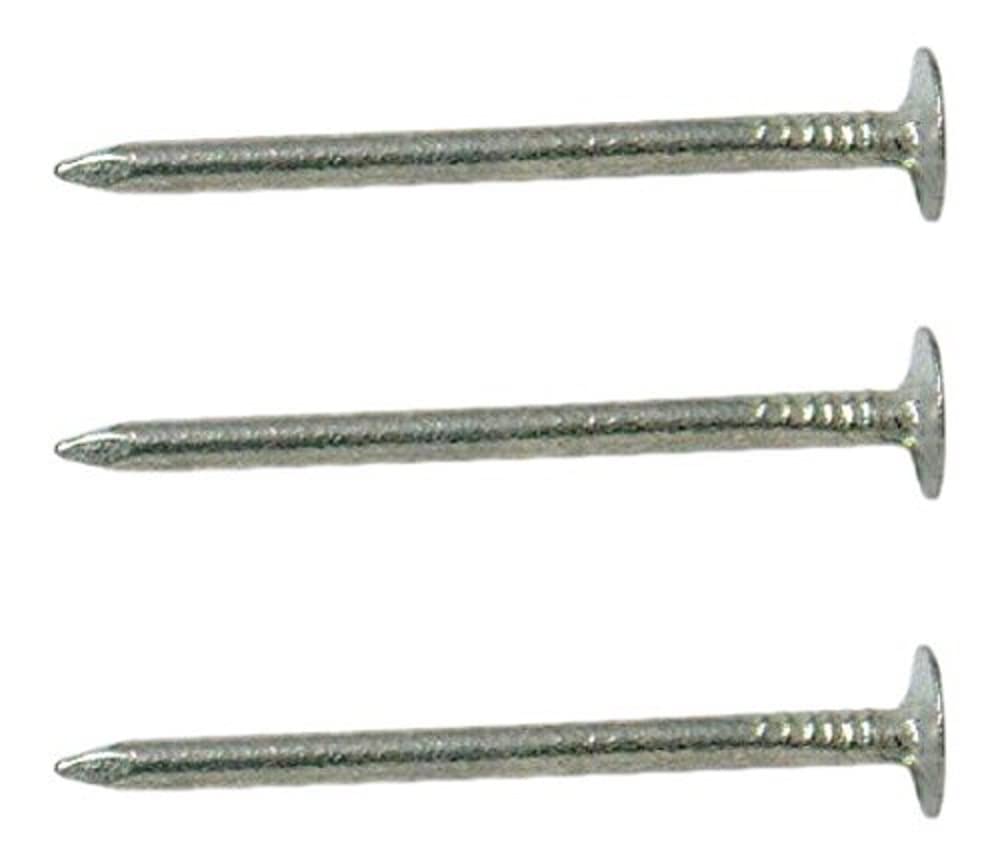 Merriway Grey Bh03744 (500 Gm) Elh Extra Large Head Clout Nail, 38Mm (1.1/2 Inch) Galvanised - Pack Of 500 Gm