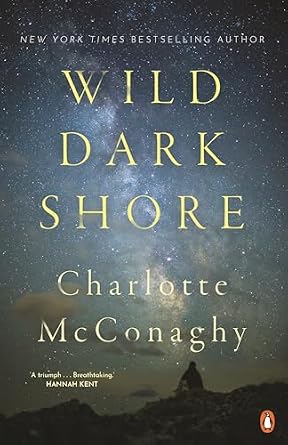 Wild Dark Shore by Charlotte McConaghy, a psychological fiction book cover depicting a silhouette of a person sitting in a field looking up at a night sky full of stars. The title is in thin, yellow letters on the top half of the cover.
