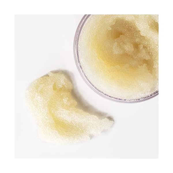 OUAI-Scalp-Body-Scrub-Deep-Cleansing-Scrub-for-Hair-and-Skin-that-Removes-Buildup-Exfoliates-and-Moisturizes-Made-with-Sugar-and-Coconut-Oil-Free-from-Parabens-Sulfates-and-Phthalates-88 OUAI Scalp & Body Scrub, Melrose Place - Exfoliating Body Scrub with Sugar & Coconut Oil Blend for Smooth, Moisturized Skin - Gentle Scalp Scrub for Removing Product Build Up (8.8 Oz)