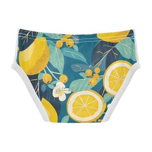 KLL Floral Indonesian Batik Motif Baby Boys Comfort Boxer Briefs Cute Children Panties2