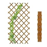 Homea Traliccio Estensibile in Legno per Piante Rampicanti 90x180 cm - Grigliato Decorativ...