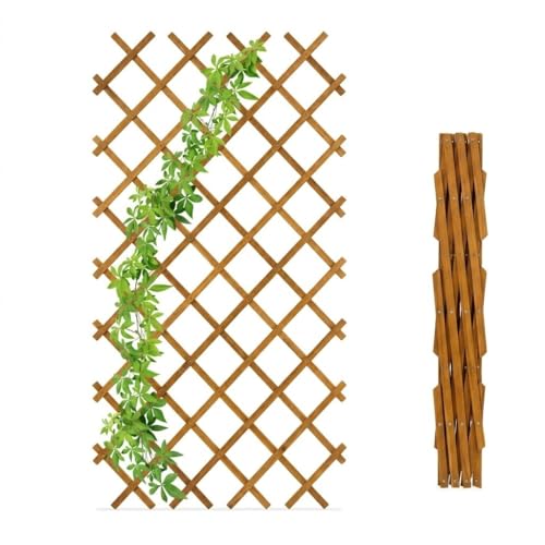 Traliccio Estensibile in Legno per Piante Rampicanti 120x180 cm -