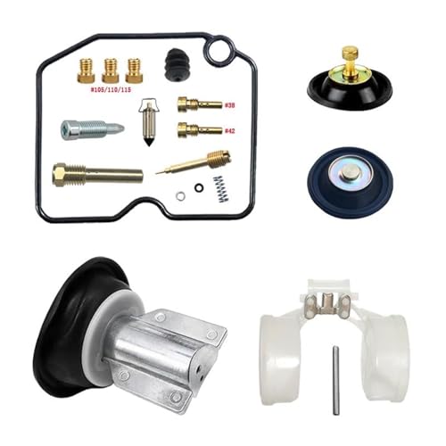 SHYYBD Vergaser Reparatursatz Motorrad-Vergaser-Reparatursatz Für Suzuki Burgman 400 Skywave400 AN400 98-02 Scooter-Schwimmer-Vergaser-Reparaturteile Vergaser-Reparatursätze(Farbe 1)
