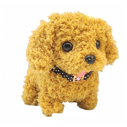 ̂ | dʂ {bg | EE | ɔ | Mtgp | q ʂ݌ | n (e)