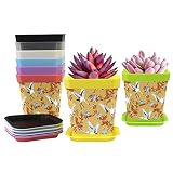 Excelente drenaje y bandeja: estas macetas para plantas vienen con múltiples agujeros de drenaje en la parte inferior para permitir que el exceso de agua fluya fácilmente para ayudar a prolongar la vida útil de tus plantas, y los platillos se proporcionan para atrapar el exceso de agua.