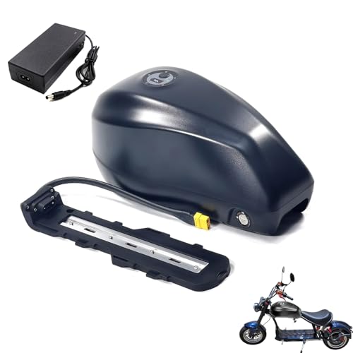 Batterie 48V 31.5Ah lithium : dites adieu aux pannes d'autonomie sur votre vélo électrique