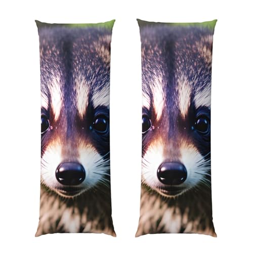 Housse de coussin raton laveur douce 50x137 avec fermeture éclair - 2