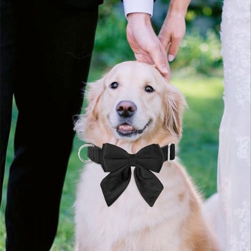 Tie KTWSUEF Hundehalsband Fliege Samtige, Fliege für Hunde, Komfortable Haltbarkeit Halsband Hund, Abnehmbares und verstellbares Fliege Hunde Für Hochzeiten, Geburtstage, Festliche
