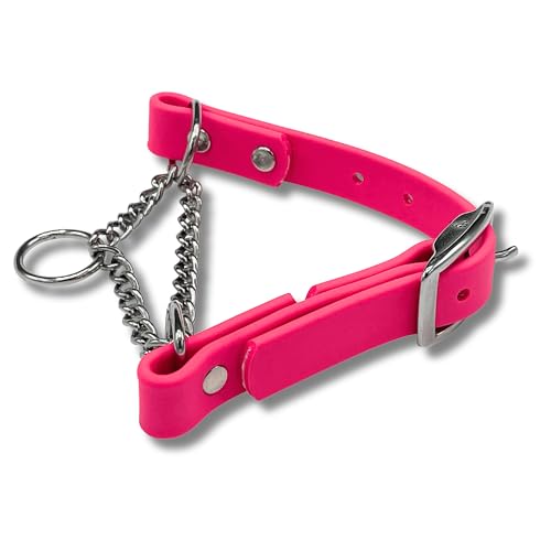 JIM HODGES DOG TRAINING p}[`Q[ցAoCI^AXeXX`[n[hEFAAȂAAJAvO[hAXXSAsN