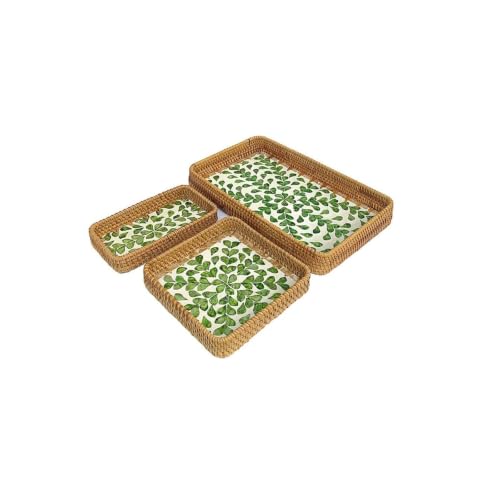 Cesta de almacenamiento de ratán hecha a mano bandeja tejida con conchas Style 4 L