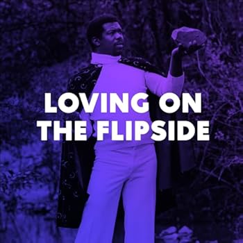 Vinyl Loving On The Flipside Book