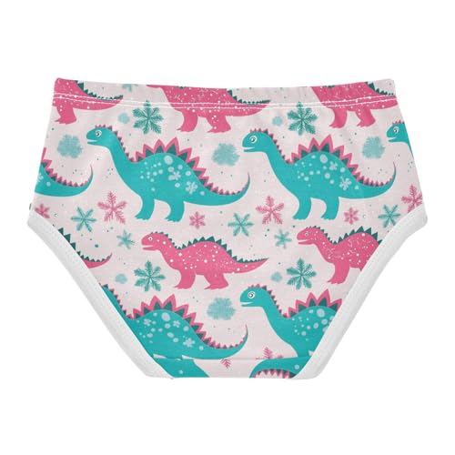 Wusikd Pink Teal Dinosaurs Girls' Underwear Cotton Snowflakes Girls Briefs Soft Toddler Underwear 2T2