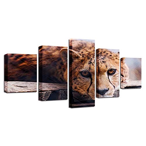 Décoration moderne idée cadeau originale avec cette toile guépard HD