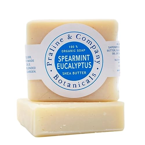 Organic Handmade SpearmintEucaliptus Soap for Oily Skin