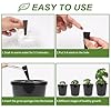 Kratky Method Hydroponic Planter Kit, 8 Hydroponic Planter Plus 24 Growing Sponges for Herbs, Hydroponic Mini Buckets for Windowsill Herb Garden, Hydroponic Growing System for Vegetables (Black) #2