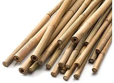 2FT-3FT-4FT-5FT-6FT Bamboo Garden Canes/Stake/ Pole Garden Plant Flower Support Sticks Outdoor/Indoor Natural Strong Plants Support (10, 2ft -60cm (12-14mm))