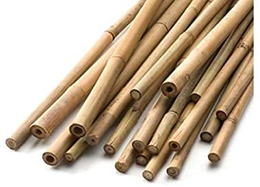 2FT-3FT-4FT-5FT-6FT Bamboo Garden Canes/Stake/Pole Garden Plant Flower Support Sticks Outdoor/Indoor Natural Strong Plants Support (15, 2ft -60cm (12-14mm))