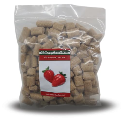 10 Best Rodent Block Products to Keep Your Home CritterFree Ultimate Buying Guide! Furry Folly