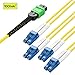 MTP to 8X LC Fan-Out Fiber Cable, 9/125 Single Mode 8-Core, Female LSZH FTTH Fiber Breakout Optic Patch Cord Jumper, 10 ft/3 m