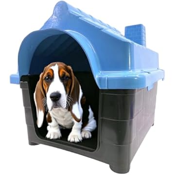 Casinha Pet para Cachorro Gato Conforto e Segurança Casa N4