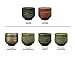 AMACO Potters Choice Lead-Free Glaze Set - B, 1 pt, Assorted Colors, Set of 6 - 39219X
