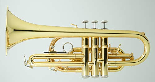 CarolBrass Bb Cornet CCR-105, Beginner Long Bell Cornet, American Styled Bell, Amazon Exclusive - Thumbnail 2
