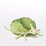 Home Grown Mini Brussel Sprout Beetle