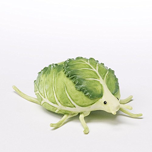 Home Grown Mini Brussel Sprout Beetle