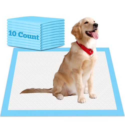 Image of Pee Pads for Dogs 18 inchx24 inch, 10 Count Puppy Pads, Waterproof Dog and Puppy Pet Training Pads, Super Absorbent & Leak-Proof Housebreaking Pet Pad, Blue