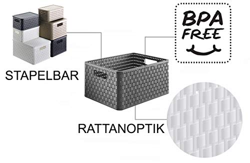 Rotho Country 3er-Set Aufbewahrungsbox 18l in Rattan-Optik, Kunststoff (PP) BPA-frei, anthrazit, 3 x A4/18l, (36,8 x 27,8 x 19,1 cm), 3